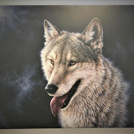 White Wolf Apartment Брашов Екстер'єр фото