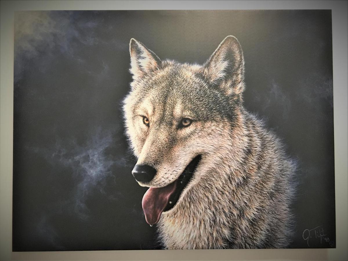 White Wolf Apartment Брашов Екстер'єр фото